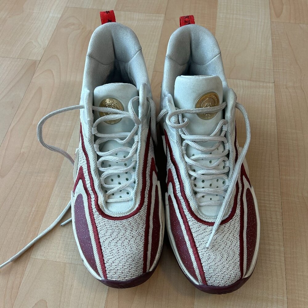 Nike Zoom Freak 4 Just Do It 50th Anniversary Basketball sneakers